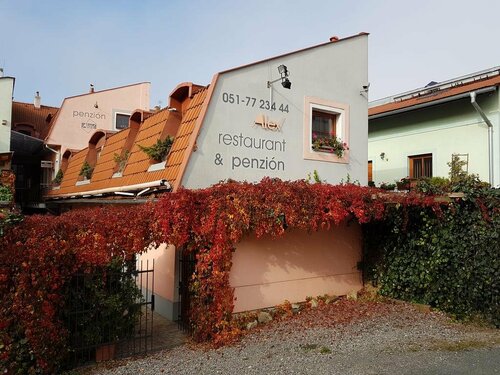 Alex Pension, Rezervovat Hotel Prešovský kraj hotely s parkováním, Parkování