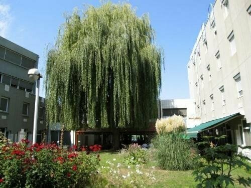 Belle Inn Hotel, Book Hotel Hoteller i Rhône-Alps med parkering, Parkering
