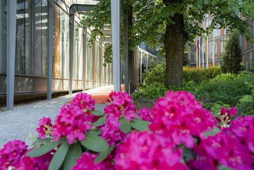 Rixwell Elefant Hotel, Prenota Hotel Hotel a Vidzeme con pasti, Mezza/completa pensione
