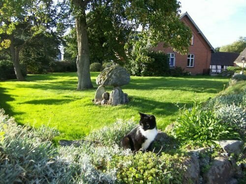 Lundsgaard Bed & Breakfast, Book Hotel 3-stjernede hoteller i Fyn, 3*