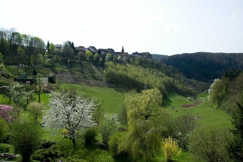 Hotel Restaurant Aux Trois Roses, Réserver Hôtel Hôtels 3 étoiles à Alsace, 3*