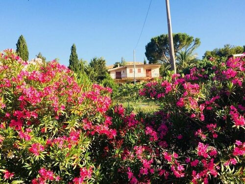 Il Ficodindia, Reserva ahora Bed & breakfast Santa Ninfa Sicilia