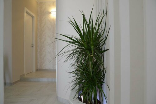 B&B Terra dOriente, Prenota Bed & breakfast Veglie Salento
