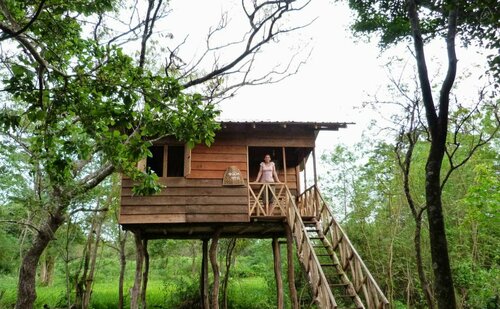 Tree house sigiri queens rest, Забронировать Отель Отели Округа Галле 3 звезды, 3*