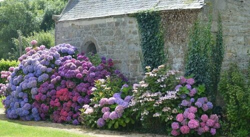 Manoir de Lesplouenan, Réserver Hôtel Hôtels à Bretagne avec parking, Parking