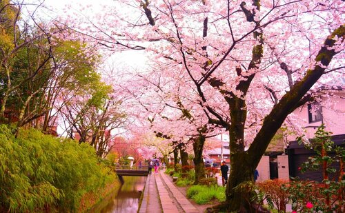 Prinz Kyoto, Prenota Hotel Sakyo Ward 