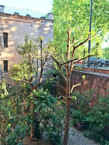 Secret Rhome Loft, Book Hotel Hoteller i Navona med pool, Swimmingpool