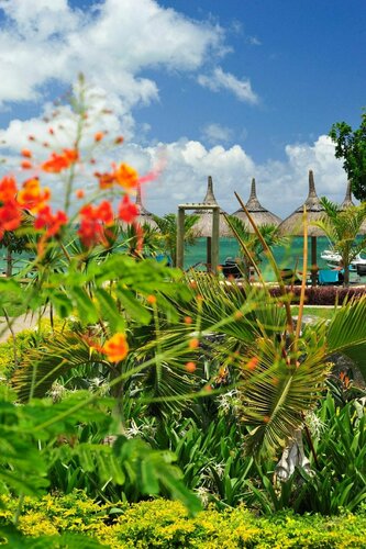 La Mariposa, Reservar Hotel Hotéis em Black River com piscina, Piscina