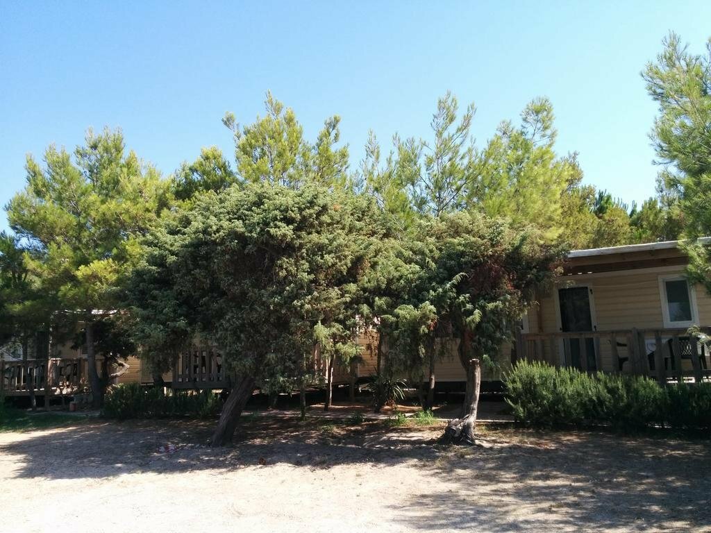 Camping la Mariposa