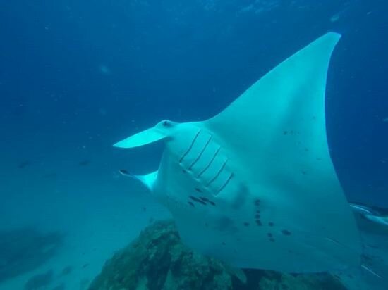 Rasdhoo Stay