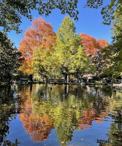 Cedarwood Inn, Rezervovat Hotel Ashland Rogue Valley