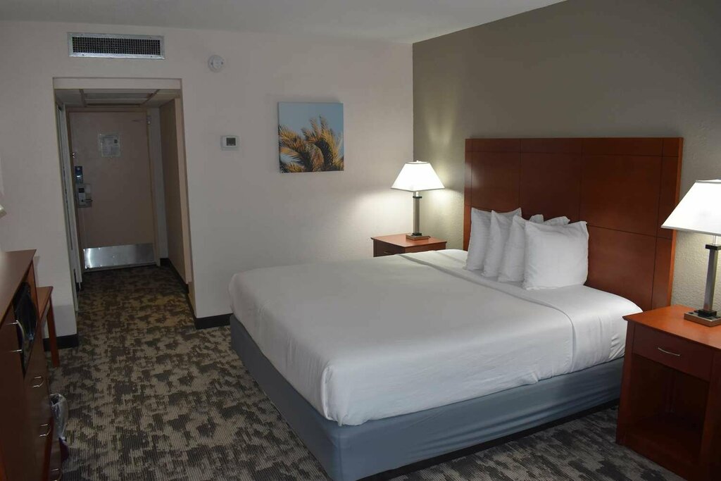 Oasis Boca Raton