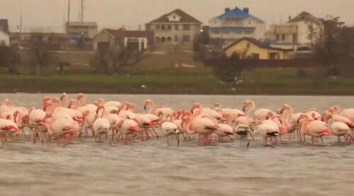 Briz Guest house, Reservar Casa de hóspedes Prymorsʼkyy 