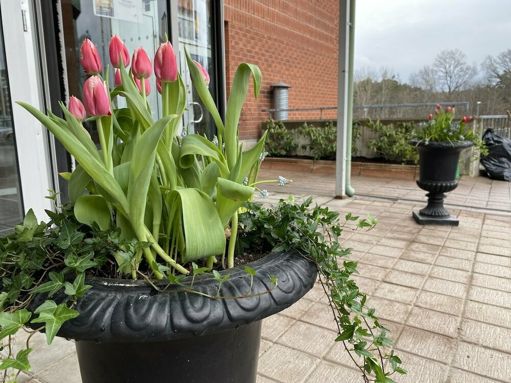 ProfilHotels Nacka