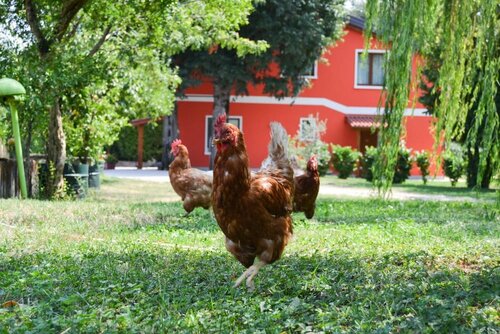 Agriturismo Ca' La Pergola, Забронировать Фермерский дом Отели Вероны с парковкой, Парковка