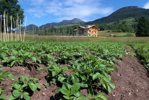 Agritur Maso Chemela, Забронировать Фермерский дом Отели Кавалезе с бассейном, Бассейн