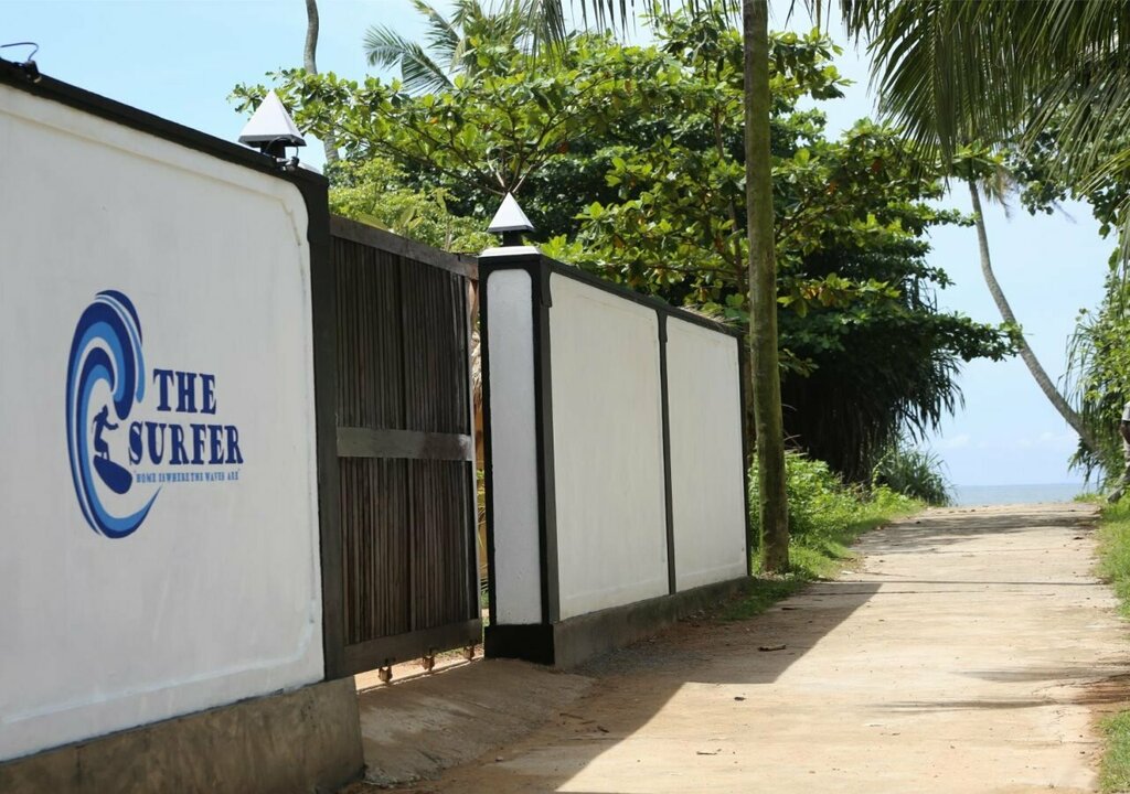 The Surfer