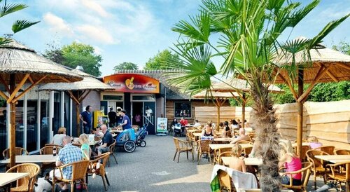 Europarcs Kaatsheuvel, Réserver Hôtel Hôtels à Brabant-Septentrional avec piscine, Piscine