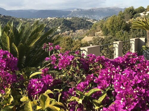 Les Grimaldines, Rezervasyon Otel Cagnes-sur-Mer Alpes-Maritimes