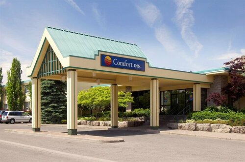 Comfort Inn Clifton Hill, Забронировать Отель Ниагара Фолс Буффало