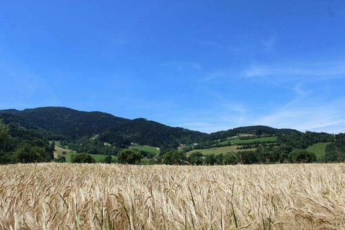 Landgasthof zum Schützen, Забронировать Отель  