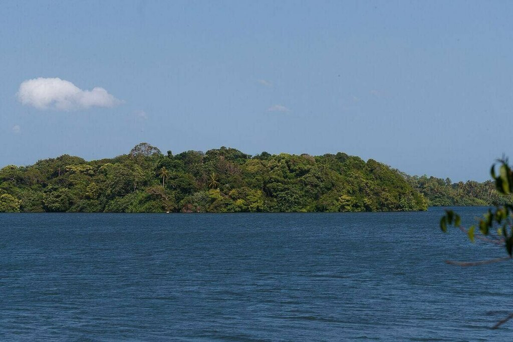 Mo River House