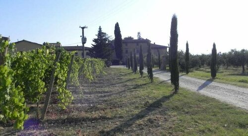 Agriturismo Le Ginestruzze, Забронировать Отель Отели Монтеспертоли с бассейном, Бассейн