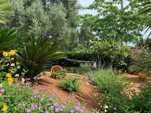 B&B All'ombra degli ulivi, Book Bed and Breakfast Hoteller i Ostuni med morgenmad, Morgenmad