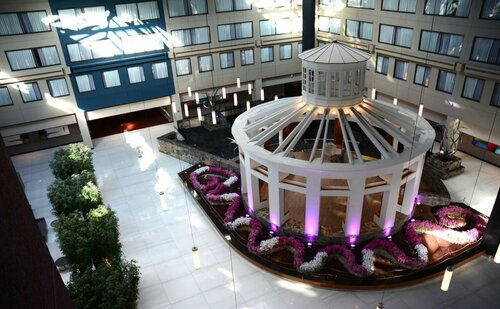 The Armon Stamford Hotel & Conference Center, Забронировать Отель Отели Стэмфорд 4 звезды, рядом с Stamford Health System, 4*