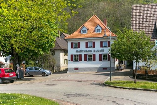 Zur Blume Hotel & Restaurant Efringen-Kirchen bei Basel, Réserver Maison d'hôtes Hôtels à Bade-Wurtemberg avec parking, Parking