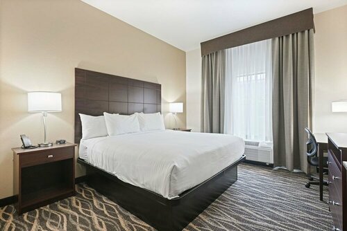 Cobblestone Hotel & Suites - Mosinee, Reserva ahora Hotel Mosinee Wisconsin