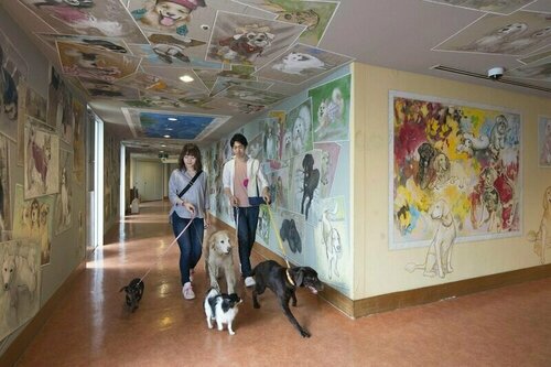 Izumigo Izukogen Dog Paradise Hotel, Reserva ahora Hotel Ito 