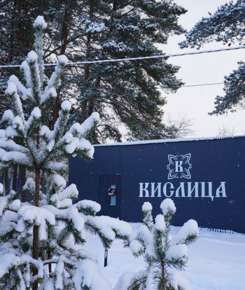 Кислица