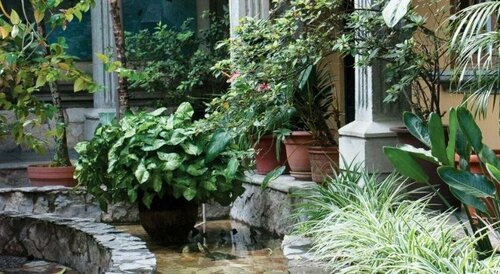 Hotel Elvir, Reservar Hotel Hotéis de 3 estrelas em Copan Ruinas, 3*