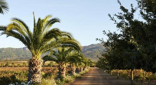 Moreson Guest Farm, Забронировать Фермерский дом Отели Парл с бассейном, Бассейн