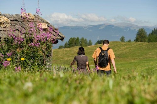 Hotel Villa Stefania, Забронировать Вилла Сан-Кандидо Hochpustertal Valley