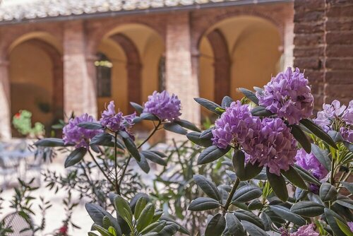 Il Chiostro Del Carmine, Забронировать Отель Отели Siena Area с завтраком, Завтраки