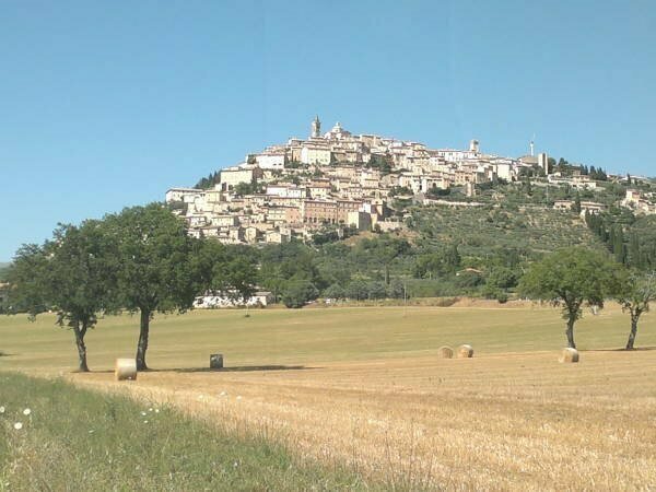 Il Borgo Dell'Ulivo