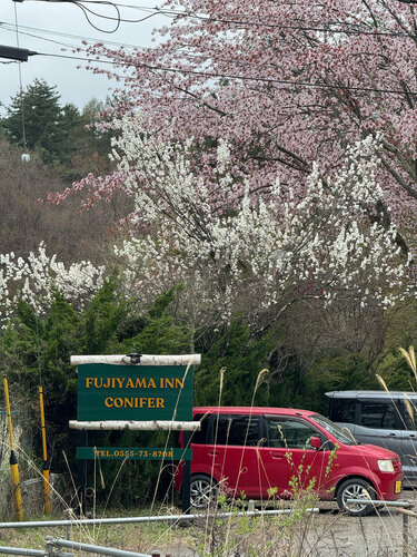 Fujiyama Inn Conifer, Забронировать Отель Фудзиёсида Mount Fuji, рядом с Kitaguchiihongu Fuji Sengen Shrine