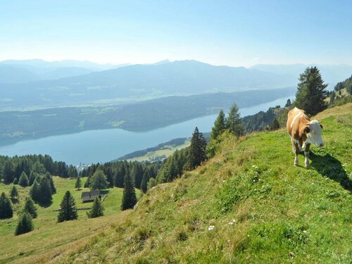 Landhaus Ebner, Rezervovat Rekreační dům Hotely v Carinthia s parkováním, Parkování