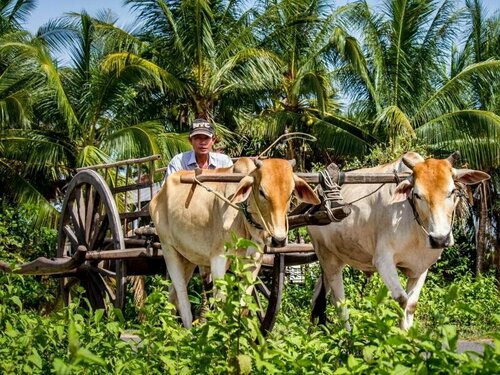 Victoria Angkor Resort & Spa, Забронировать Отель Отели Сиемреап с бассейном, рядом с Angkor National Museum, Бассейн