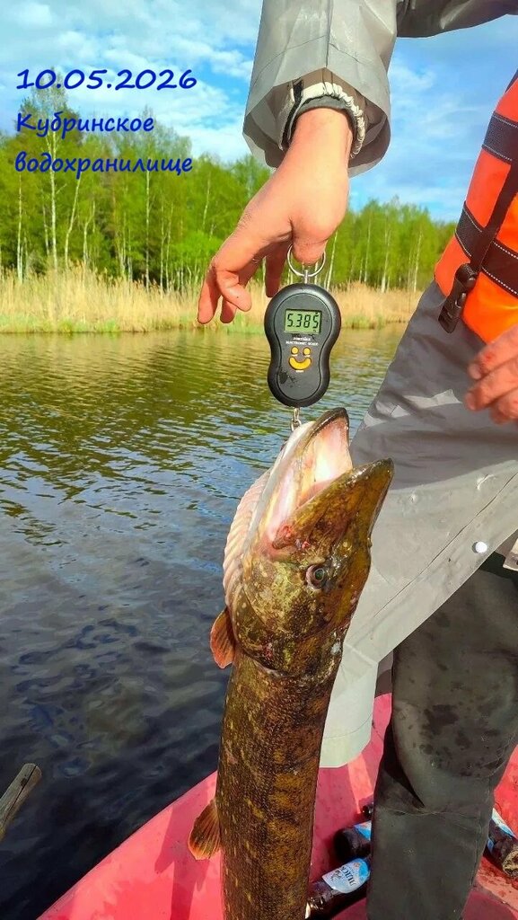 Русский Двор
