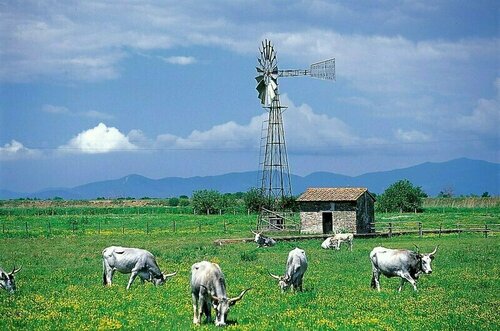 La Pulledraia Del Podere Montegrappa, Prenota Agriturismo Alberese Costa della Maremma