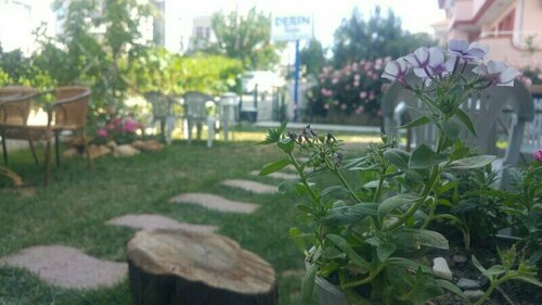 Derin Butik Otel, Rezervovat Hotel Hotely v Siğacık se snídaní, Snídaně