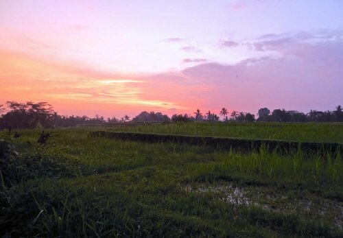Sunset Hill, Book Hotel 3-stjernede hoteller i Bali, 3*