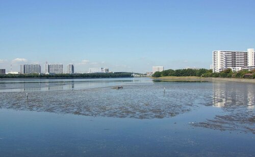 JR-East Hotel Mets Funabashi, Забронировать Отель Фунабаси Тиба