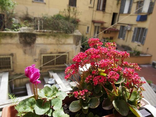 Palladini Rome, Prenota Ostello Hotel a Lazio con parcheggio, Parcheggio