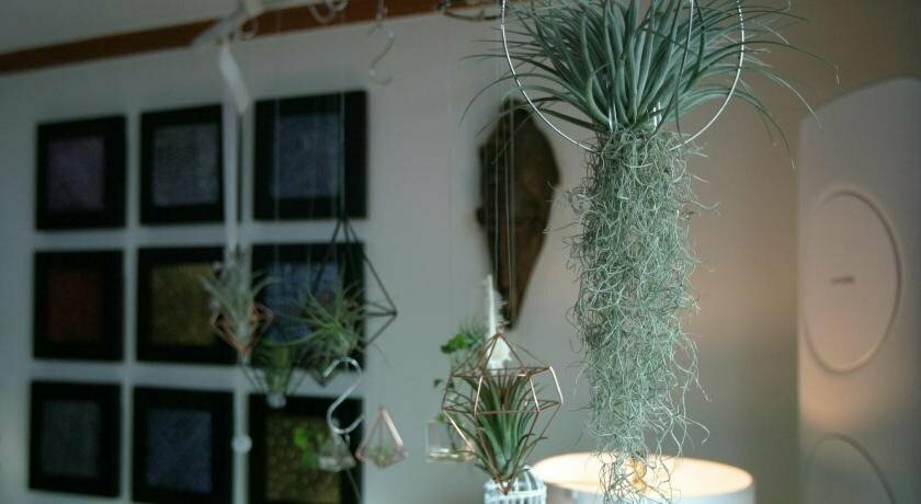 Refee House