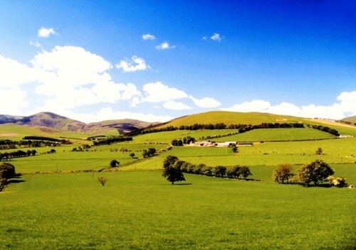 Caddon View Country Guest House, Reserva ahora Hostal o pensión Innerleithen Borders