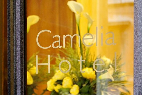 Hotel Camelia, Забронировать Отель Отели Рима 3 звезды, рядом с Римский музей современного искусства, 3*